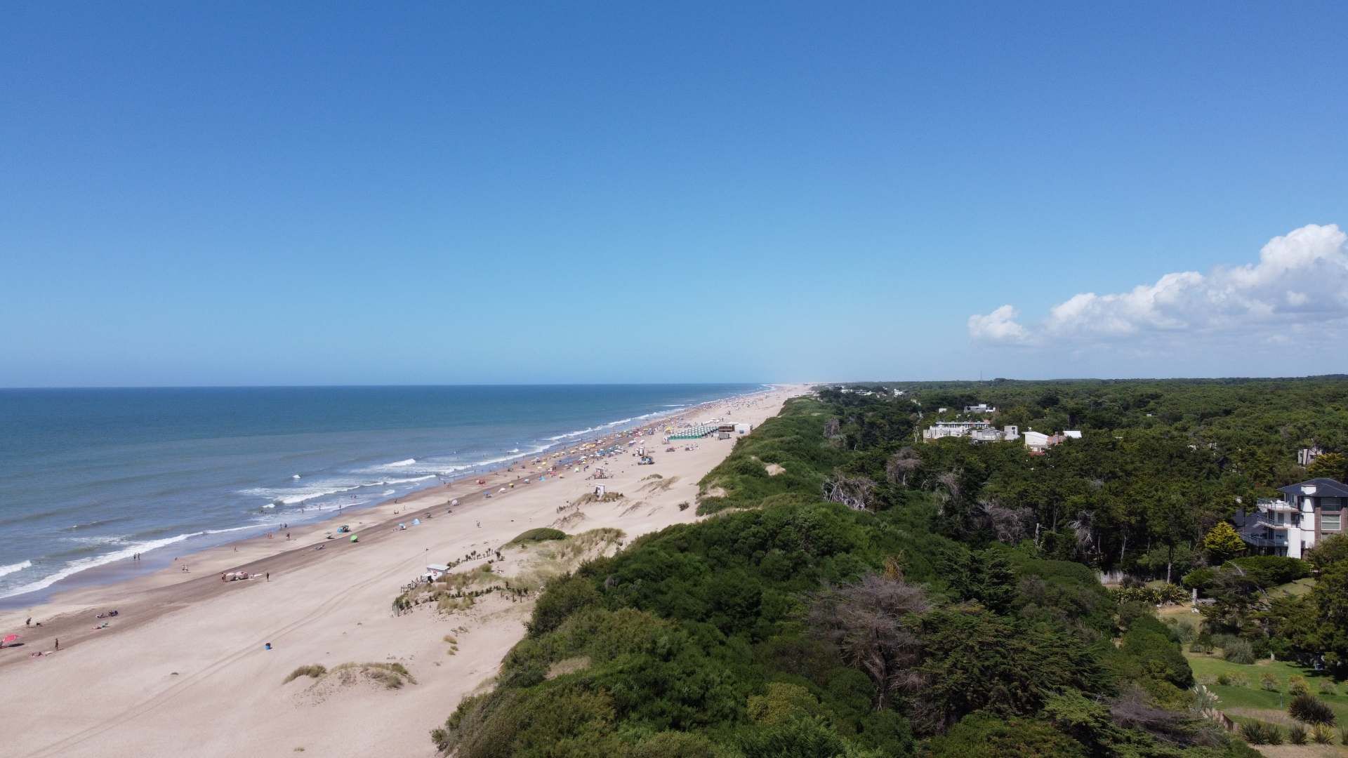 Aerial view of the beach, the dunes and the forest